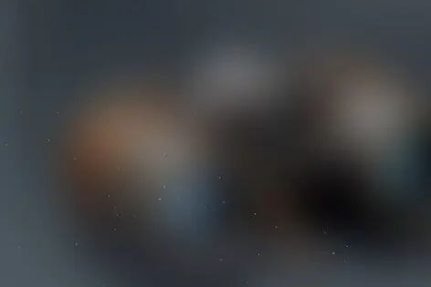 Квест-анимация «Спецагенты» от Парадигма